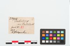 Etiketten zu Glasringperle (NHMW-PRAE-023908)